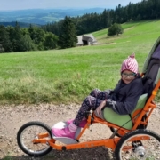 Dítě na speciálním terénním vozíku během procházky v přírodě